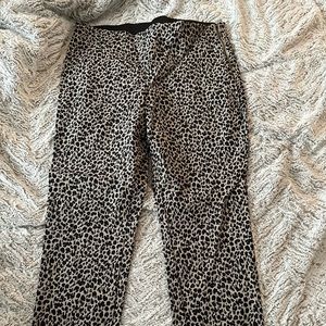Women’s dress pants